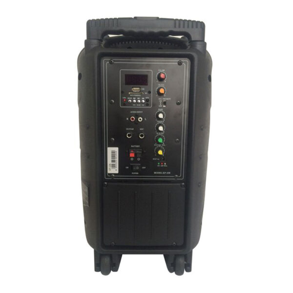 Cassa acustica amplificata 200W max con batteria - bluetooth - SD/USB - radio