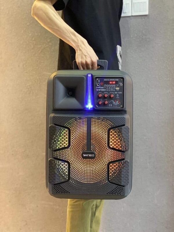 Cassa acustica12 pollici Carrello portatile Altoparlante DJ Sistema di altoparlanti con luce a LED