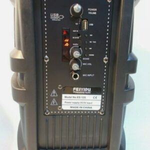 Cassa Acustica Amplificata Trolley con Microfono senza filo 2000 Watt P.M.P.O.